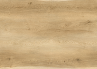 Panele podłogowe winylowe SPC AB Premium Dąb Sodalit