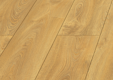 Panele podłogowe laminowane WR 24H AC5 Platinium Holiday Dąb Mauritius SWISS KRONO