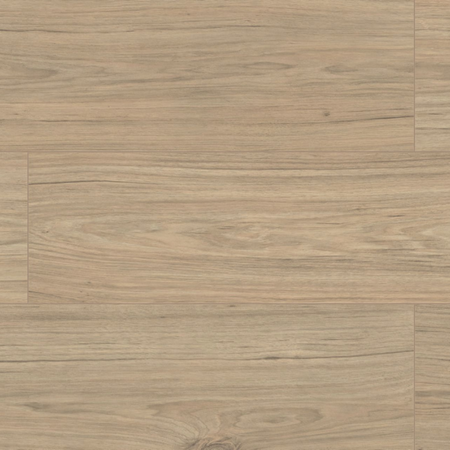 Panele podłogowe laminowane AC5 AB Premium Hawk