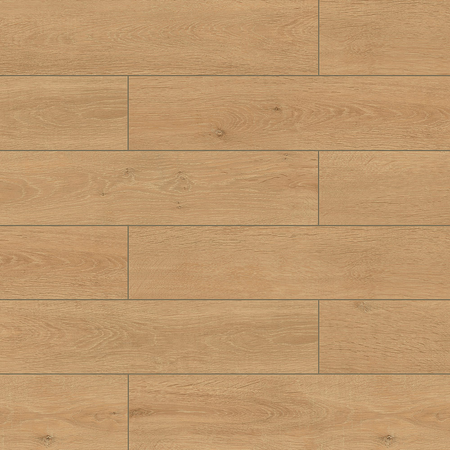 Panele podłogowe laminowane AC5 AB Premium Lark