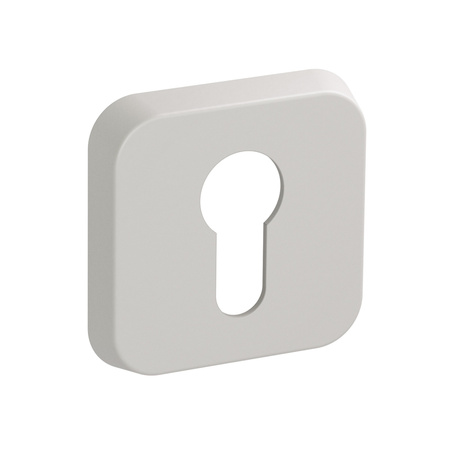 Szyld wkładka kość słoniowa T-003-127.P67, NOMET