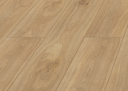 Panele podłogowe laminowane WR 24H AC5 Platinium Terra Dąb Di SWISS KRONO