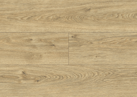 Panele podłogowe laminowane WR 24H AC5 Platinium Bella Dąb Amelia SWISS KRONO