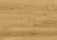 Panele podłogowe laminowane WR 24H AC5 Platinium Holiday Dąb Tajlandia SWISS KRONO