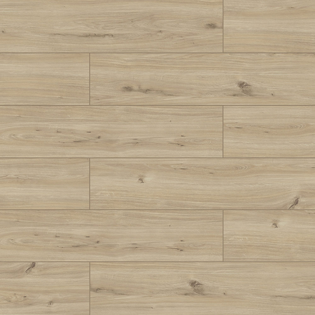 Panele podłogowe laminowane AC5 AB Premium Heron