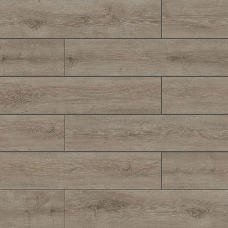 Panele podłogowe laminowane AC5 AB Premium Parrot